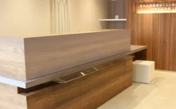 古林形成外科 上野院